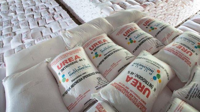 Harga Pupuk Mulai Turun, Begini Kata Petani Sawit 