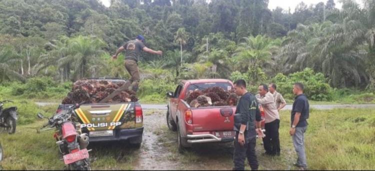 Pengelolaan Kebun Diserahkan ke Pengepul, PDKS Sepakati Bagi Hasil 40:60