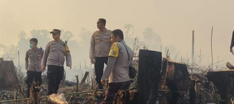 Polisi Temukan Bibit Sawit di Area Restorasi yang Terbakar 