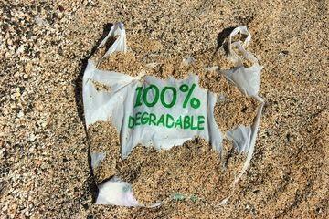 Ternyata, Minyak Sawit Bisa Jadi Bahan Baku Plastik Biodegradable