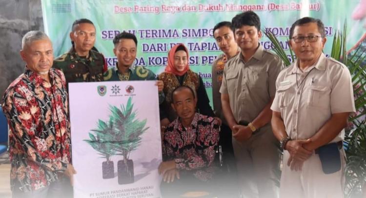 Puluhan Ribu Bibit Sawit Bantuan Perusahaan Diserahkan ke Petani Plasma