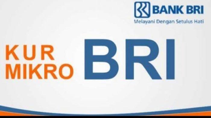 BRI Ajak Petani Sawit di Bengkulu Ikut Program KUR, Bunganya Ringan Loo...