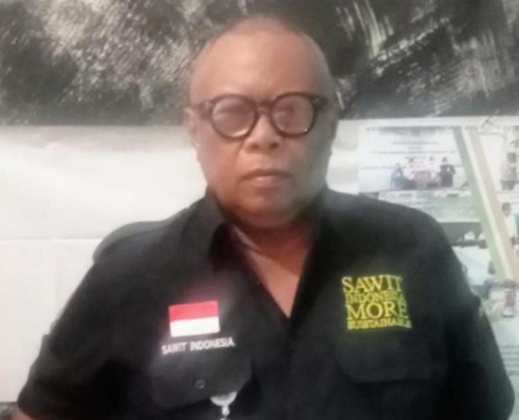 Petani Sawit Pasti Senang Jika STD-B dan ISPO Dibiayai Pemerintah