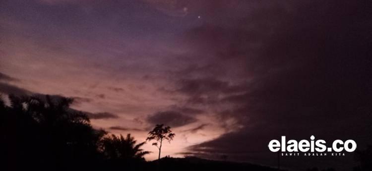 Bursa Karbon, Opo Iki?