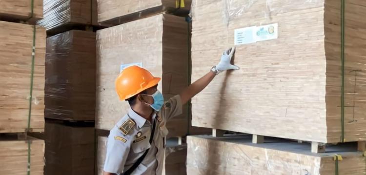 Konversi ke Sawit Marak, Ekspor Kayu Karet Olahan dari Bengkulu Terancam