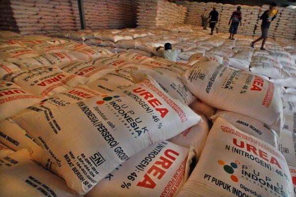 Kompak Curi Pupuk Bos, Para Pekerja Kebun Sawit Digelandang ke Polsek Minas