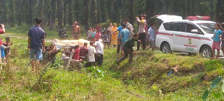 Karyawan Panen PT Ramajaya Tewas Diduga Disengat Listrik