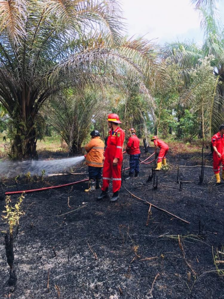 Satgas Karhutla Fokus Awasi 5 Kawasan di Kota Bengkulu