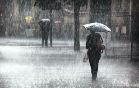 Musim Hujan Segera Tiba, Petani di Bengkulu Sudah Bisa Bersiap Tanam Sawit