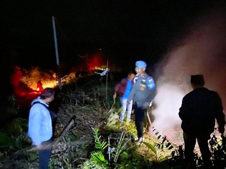 5 Hektar Kebun Sawit Terbakar, Penyebabnya Masih Misteri