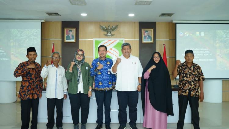 Sejumlah Kebun Sawit Kelompok Tani Diremajakan Lewat PSR Oleh PTPN VI