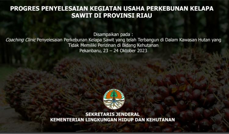 KLHK: 3,37 Juta Hektar Kebun Sawit di Kawasan Hutan 