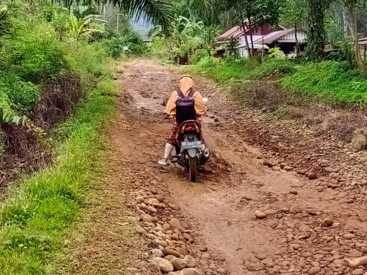 Insentif Fiskal akan Dipakai untuk Perbaikan Jalan Perkebunan