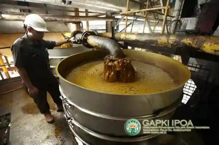 Konsumsi Dalam Negeri Naik Konsisten Saat Produksi CPO/PKO Turun