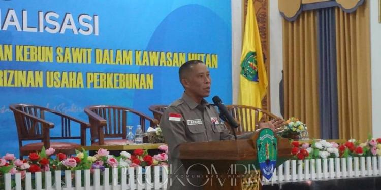 Beririsan dengan Kawasan Hutan, Penyebab Polemik Lahan Sawit di Bulungan