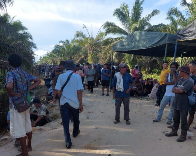 Dinilai Wanprestasi, Perusahaan Sawit ini Digugat Koperasi Lebih Rp 600 Milyar