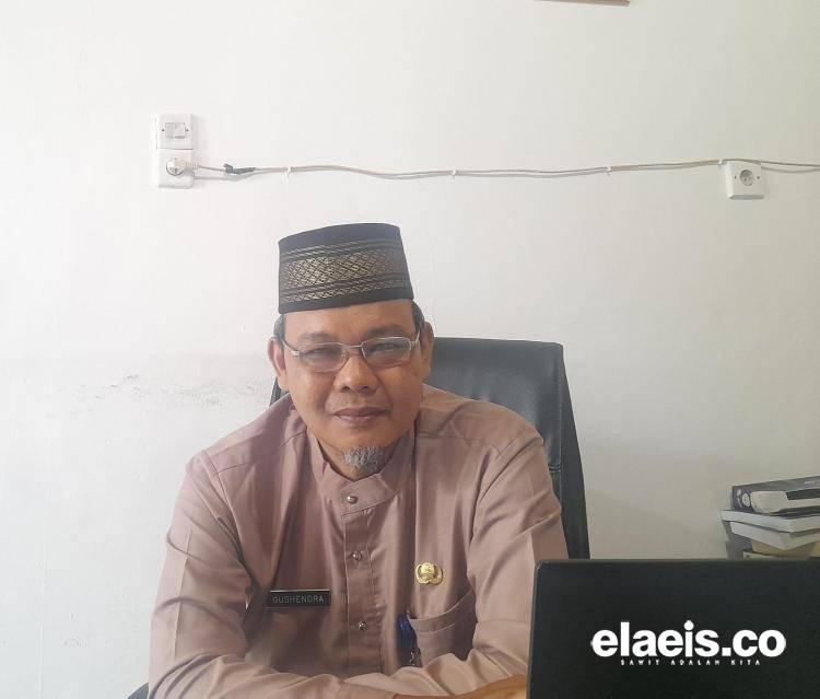 Masih Identifikasi, Keterlanjuran Kebun Sawit Dalam Kawasan Hutan Belum Diketahui