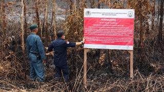 Karhutla Meluas, Perusahaan Sawit Milik PMA Singapura Ikut Disegel