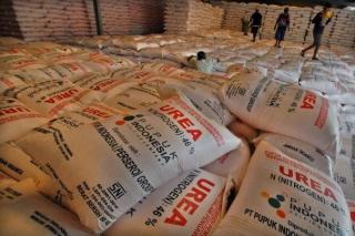 Kompak Curi Pupuk Bos, Para Pekerja Kebun Sawit Digelandang ke Polsek Minas