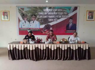 Harga CPO Turun, tapi Harga TBS Sawit Kalteng Naik