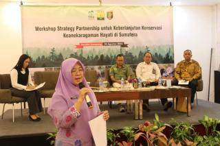 DLHK Bengkulu Minta Kades Tindak Tegas Kebun Sawit Dalam Kawasan Hutan