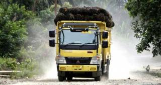 Perkembangan Mutakhir Industri Sawit Indonesia: Bagian Penting dari Pembangunan Pedesaan