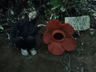 Petani Sawit Diminta Tidak Menganggap Bunga Rafflesia Sebagai Pembawa Sial