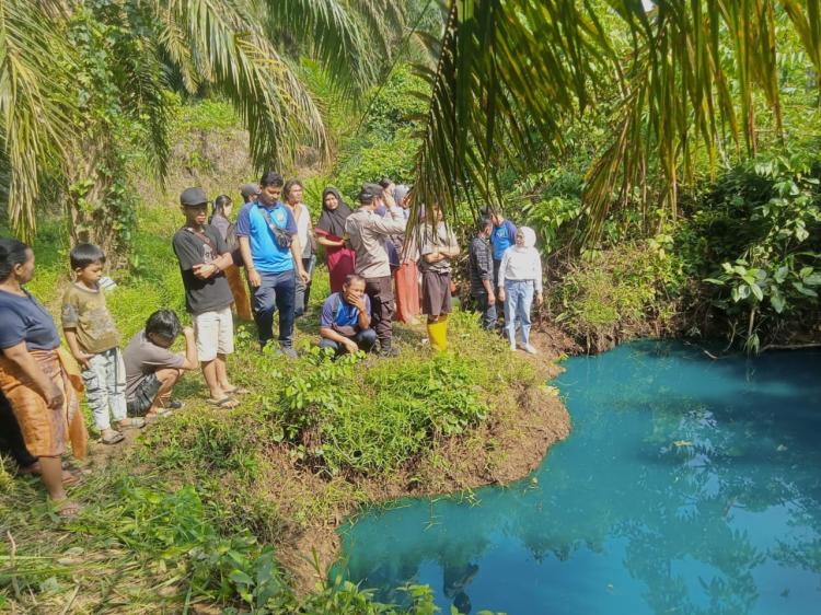 Airnya Berubah Jadi Biru, Telaga di Tengah Kebun Sawit Jadi Destinasi Wisata Baru