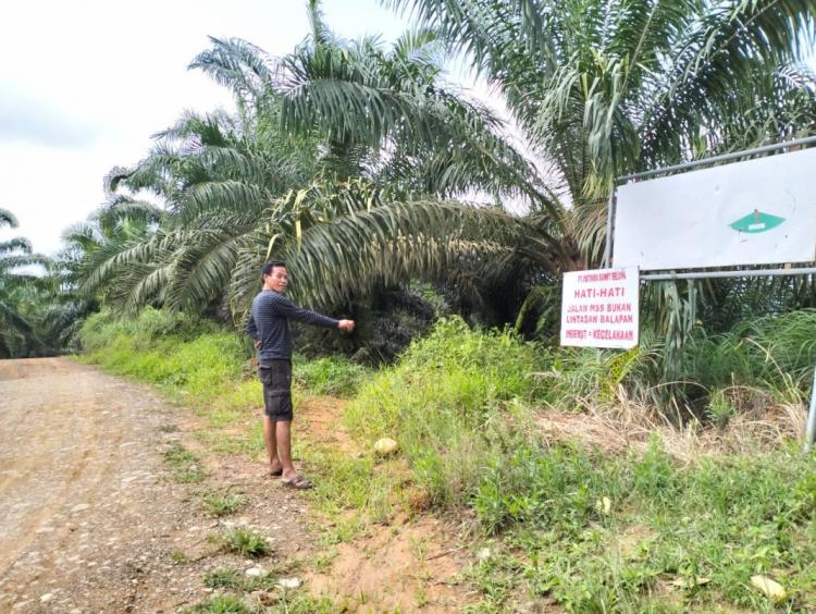 Pasang Portal, Perusahaan Sawit ini Dituding Serobot Jalan Milik Pemerintah