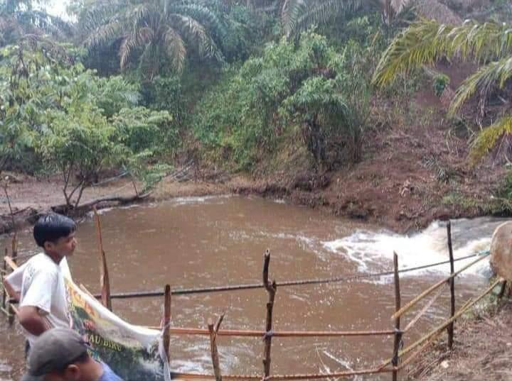 Air Telaga di Tengah Kebun Sawit Berubah dari Biru Menjadi Coklat