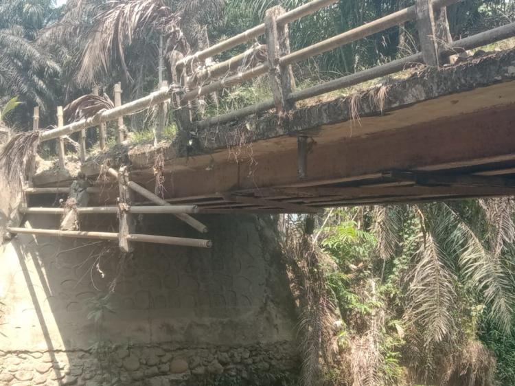 Akses Petani Sawit Terganggu Gara-gara Kondisi Jembatan Air Mumbang
