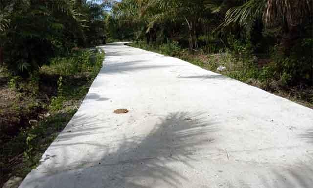 Mudahkan Akses Petani, JSP Pertanian Terus Dibangun