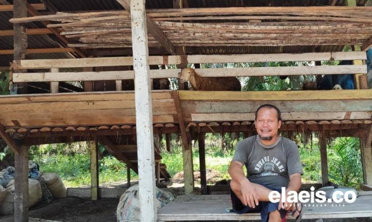 Luas Kebun Sawit Indonesia Misterius. Ketum JPSN: Itu Disengaja