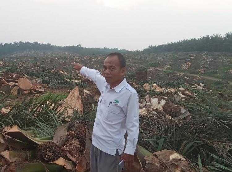 DPD Apkasindo Merangin Berencana Tuntut Pencabutan HGU Sinarmas