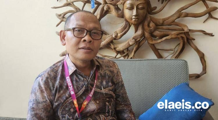 Pemutihan Perkebunan Sawit atau Kegagalan Kelola Kawasan Hutan 