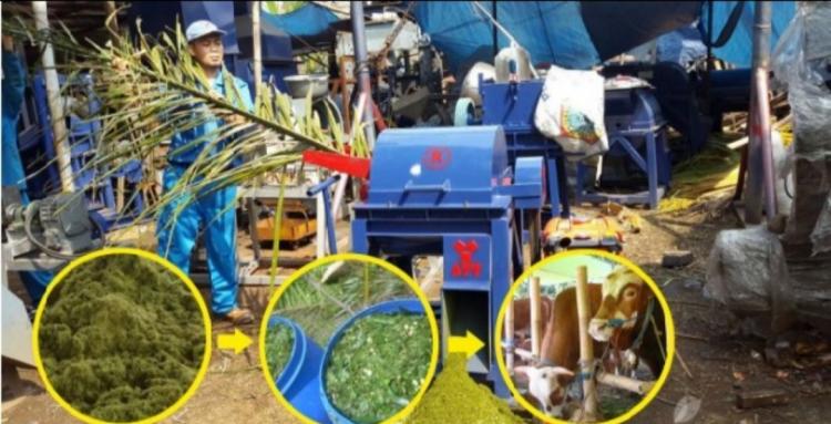 Kutim Berguru Cara Olah Limbah Sawit ke OKI dan Muara Enim 