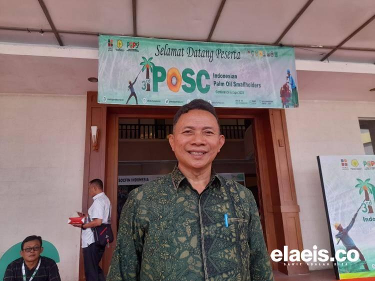 Soal Penambahan Dana PSR Menjadi Rp 60 Juta per Hektare, Begini Kata Direktur Penghimpunan Dana BPDPKS