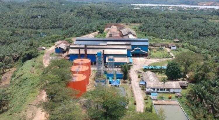 Pembentukan PalmCo Diyakini akan Pacu Hilirisasi Sawit
