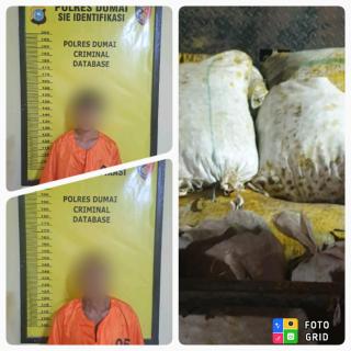 Maling dan Penadah Sawit Curian Diringkus, Ancaman Hukumannya Beda