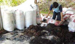 Petani Sawit Minta Bantuan Pupuk Organik, Gubernur Bengkulu Bilang Gini