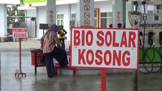 Kuota Penambahan Solar Belum Dikabulkan Pusat, Pemerintah Daerah hingga Asosiasi Petani Sawit di Bengkulu Bersuara