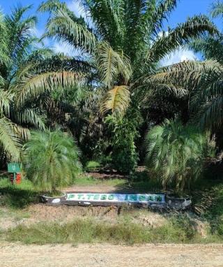 Kemitraan dengan Pola Bagi Hasil 75:25, PT Tebo Indah dan Kelembagaan Tani Masih Terus Berlanjut