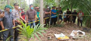 Identitas Tulang dan Tengkorak yang Ditemukan di Kebun Sawit Warga Siring Agung Terungkap 