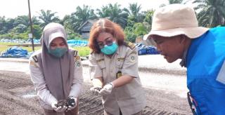 9.500 Ton Cangkang Sawit Tujuan Thailand Lolos Pemeriksaan Karantina