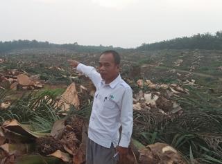 DPD Apkasindo Merangin Berencana Tuntut Pencabutan HGU Sinarmas