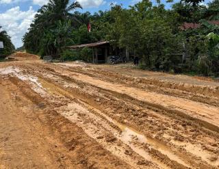 Infrastruktur Berpengaruh Besar Terhadap Harga Sawit Petani Swadaya di Sumsel 