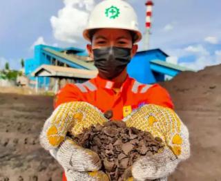 Meski Melimpah, Indonesia Diingatkan Jaga Keberlanjutan Suplai Biomassa