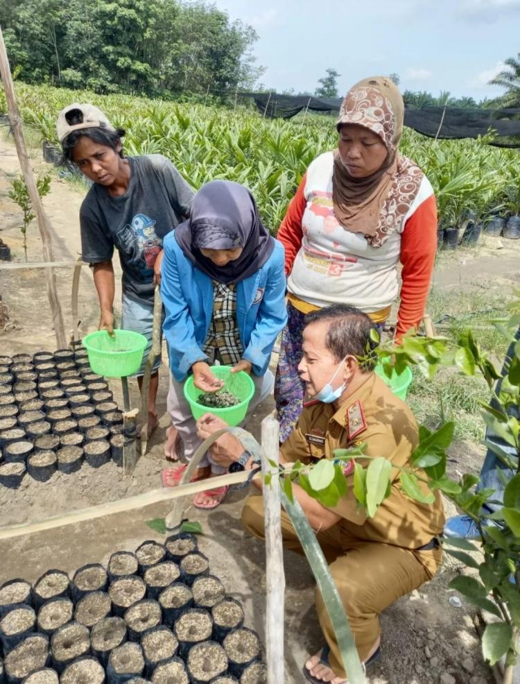 Dukung Pengembangan Sawit, Kementan Data Potensi Benih dan Siapkan Rencana Produksi 2024
