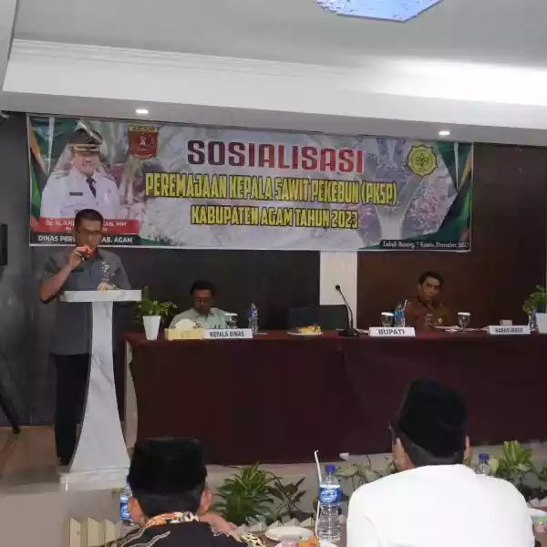 Banyak Kebun Sawit Lewati Usia Produktif, Petani Agam Diajak Lakukan Peremajaan