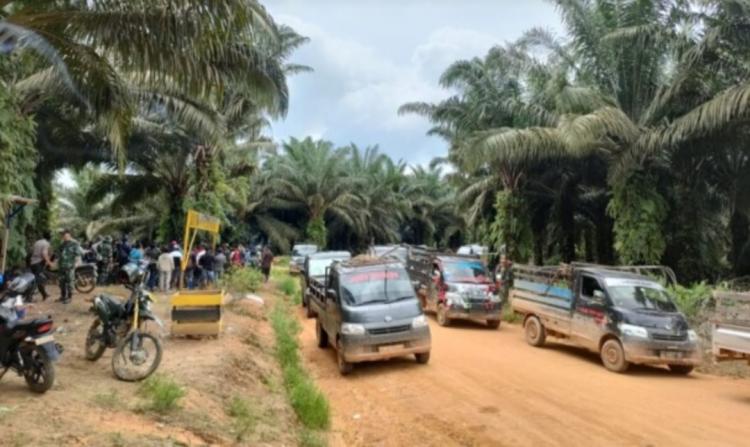 Penjarahan Sawit Marak di Kalteng, Aparat Didesak Sikat Penadahnya